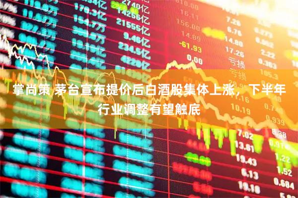 掌尚策 茅台宣布提价后白酒股集体上涨，下半年行业调整有望触底
