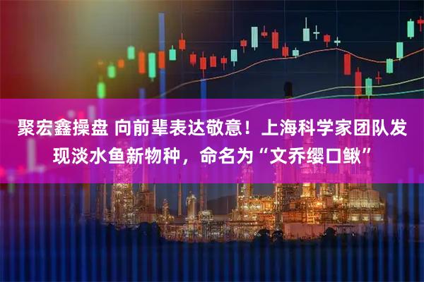 聚宏鑫操盘 向前辈表达敬意！上海科学家团队发现淡水鱼新物种，命名为“文乔缨口鳅”